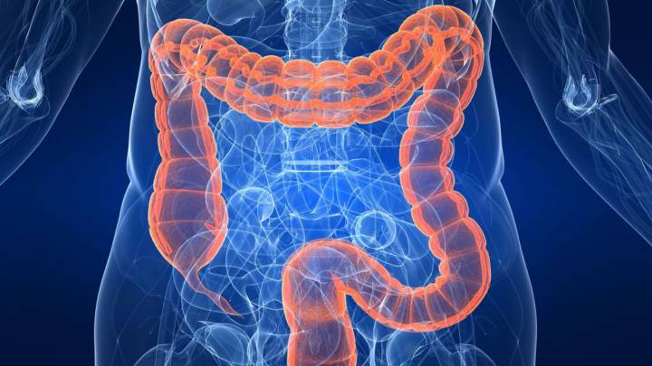 Hidroterapia del Colon